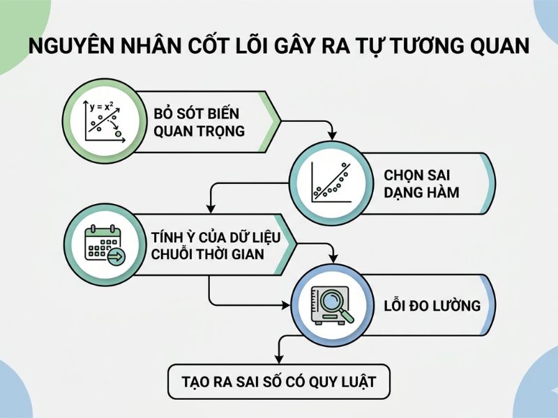 Hiện Tượng Tự Tương Quan (Autocorrelation) Trong Kinh Tế Lượng

