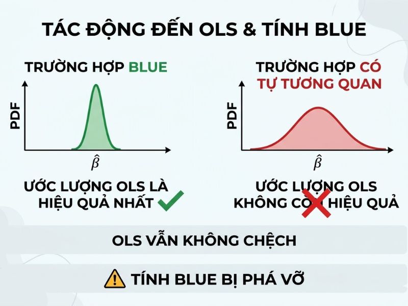 Hiện Tượng Tự Tương Quan (Autocorrelation) Trong Kinh Tế Lượng
