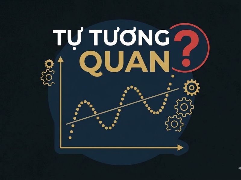 Hiện Tượng Tự Tương Quan (Autocorrelation) Trong Kinh Tế Lượng