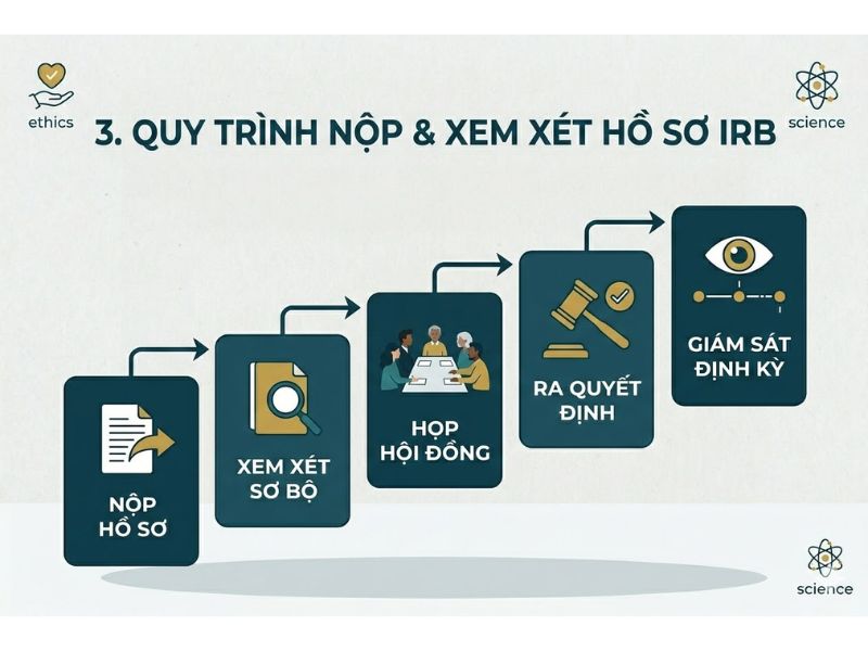 Hội đồng đạo đức (IRB) (Institutional Review Board là gì? Mảng y tế/tâm lý cần thông qua IRB
