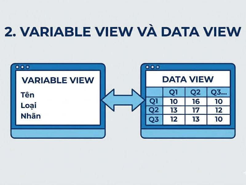 Hướng Dẫn Cách Nhập Liệu Vào SPSS Chuẩn Xác Từ Bảng Khảo Sát
