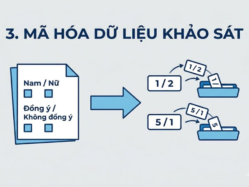 Hướng Dẫn Cách Nhập Liệu Vào SPSS Chuẩn Xác Từ Bảng Khảo Sát
