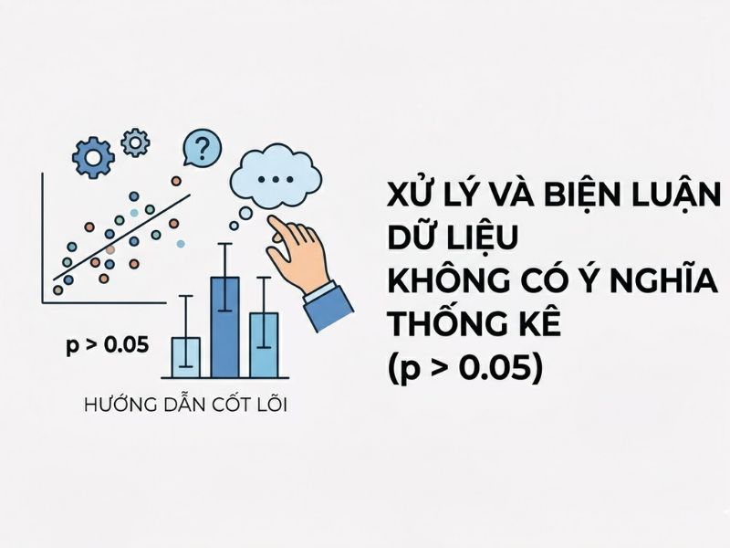 Dữ liệu không có ý nghĩa thống kê (p > 0.05): Cách xử lý và viết biện luận thuyết phục hội đồng
