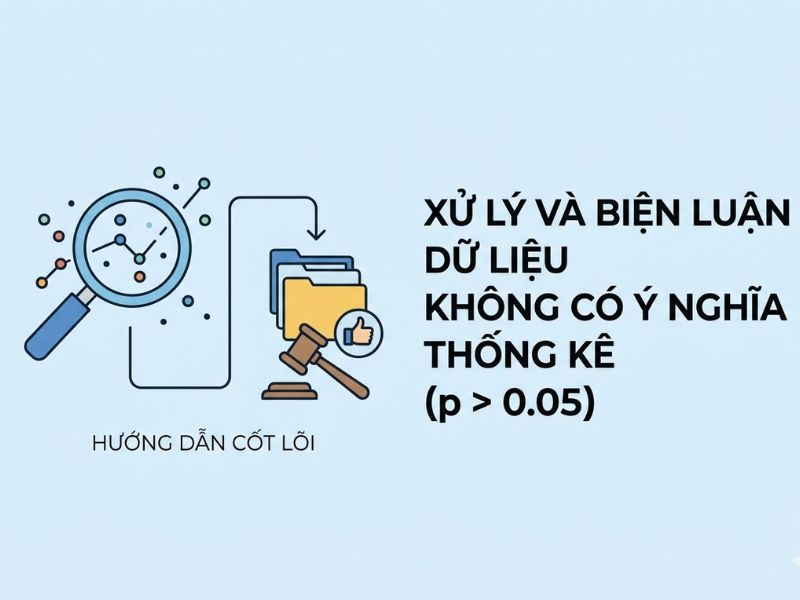 Dữ liệu không có ý nghĩa thống kê (p > 0.05): Cách xử lý và viết biện luận thuyết phục hội đồng