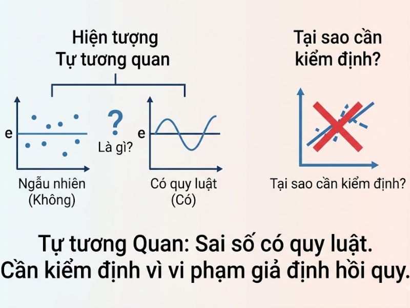 Hướng Dẫn Toàn Diện Về Kiểm Định Hệ Số Durbin Watson Trong SPSS