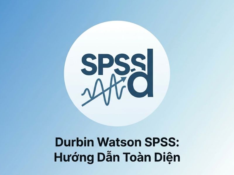 Hướng Dẫn Toàn Diện Về Kiểm Định Hệ Số Durbin Watson Trong SPSS