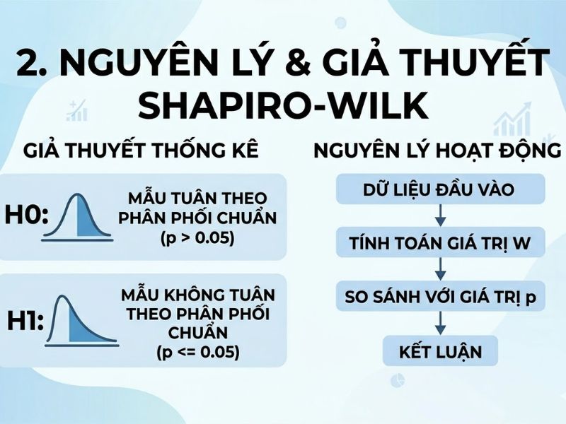 Kiểm định Shapiro-Wilk: Tiêu chuẩn kiểm tra phân phối chuẩn cho dữ liệu mẫu nhỏ