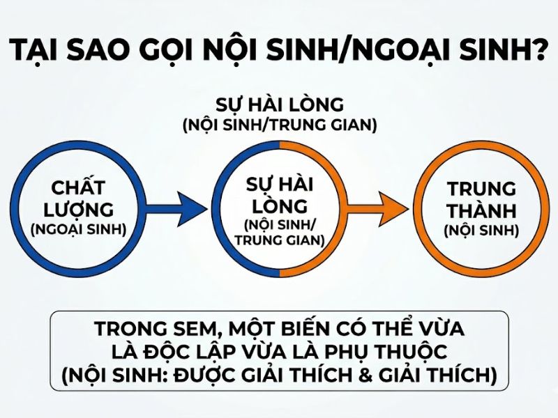 Phân Biệt Biến Nội Sinh Và Biến Ngoại Sinh (Endogenous vs Exogenous) Trong Mô Hình SEM / PLS-SEM
