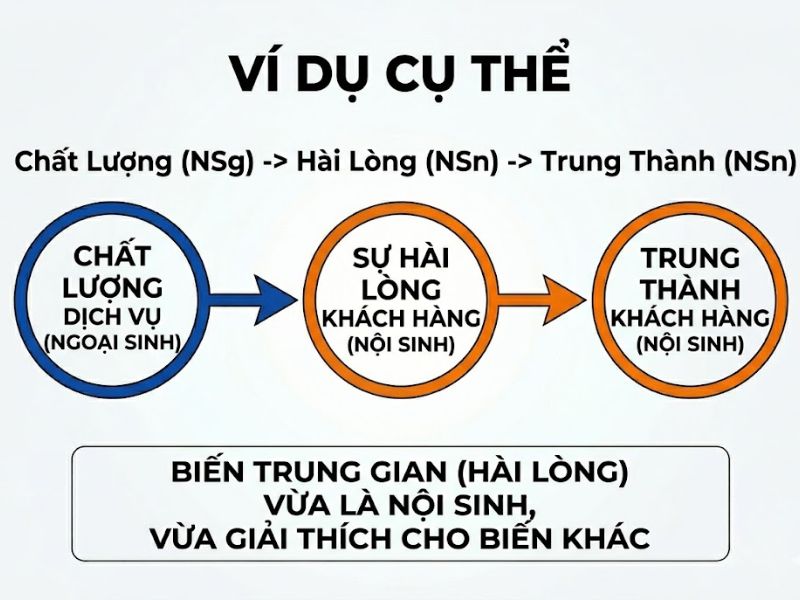 Phân Biệt Biến Nội Sinh Và Biến Ngoại Sinh (Endogenous vs Exogenous) Trong Mô Hình SEM / PLS-SEM
