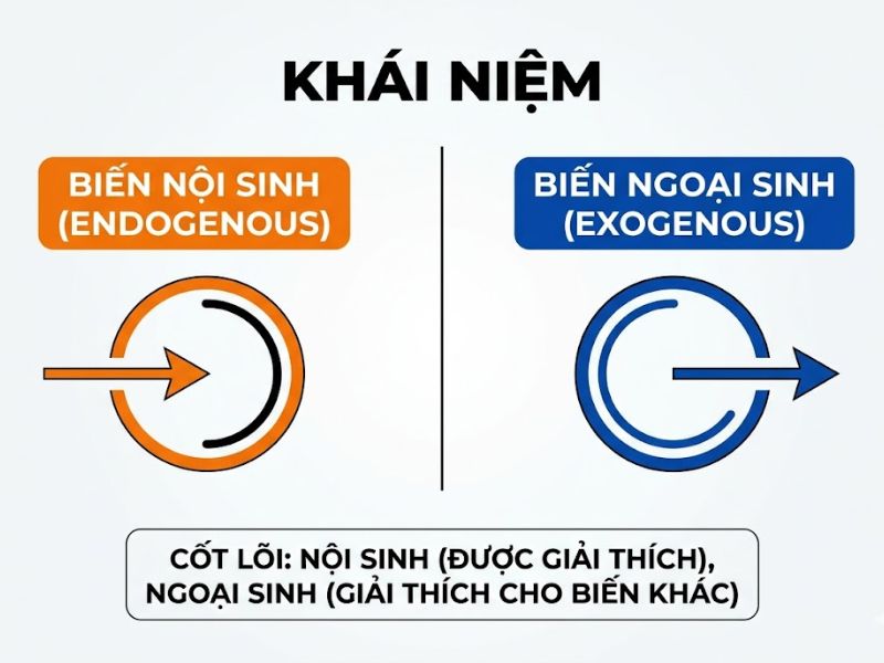 Phân Biệt Biến Nội Sinh Và Biến Ngoại Sinh (Endogenous vs Exogenous) Trong Mô Hình SEM / PLS-SEM