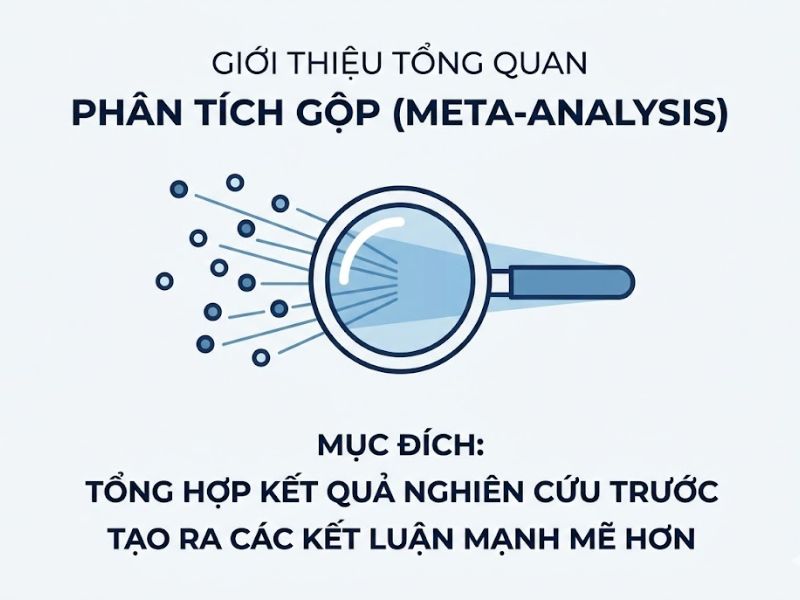 Phân Tích Gộp (Meta-analysis): Phương Pháp Gộp Dữ Liệu Từ Quá Trình SLR Định Lượng Kích Cỡ Hiệu Ứng (Effect Size)
