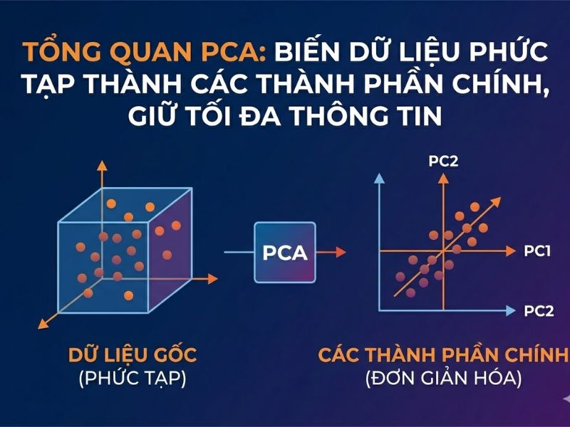 Phân tích Thành phần chính (PCA) là gì? Khác biệt so với EFA và Ứng dụng cốt lõi trong Machine Learning
