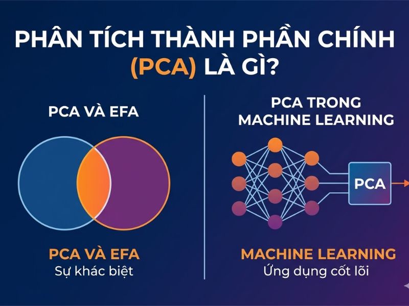 Phân tích Thành phần chính (PCA) là gì? Khác biệt so với EFA và Ứng dụng cốt lõi trong Machine Learning