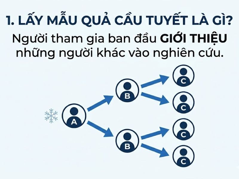 Phương Pháp Lấy Mẫu Quả Cầu Tuyết (Snowball Sampling Trong Nghiên Cứu Khoa Học