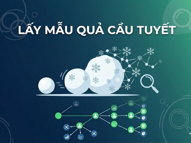 Phương Pháp Lấy Mẫu Quả Cầu Tuyết (Snowball Sampling Trong Nghiên Cứu Khoa Học