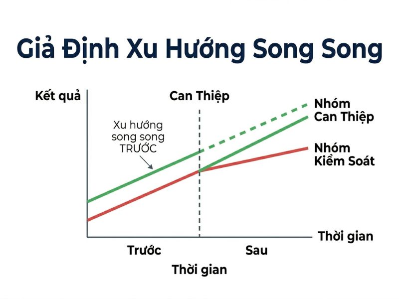 Phương Pháp Sai Biệt Kép (Difference-in-Differences - DiD) Trong Nghiên Cứu Định Lượng