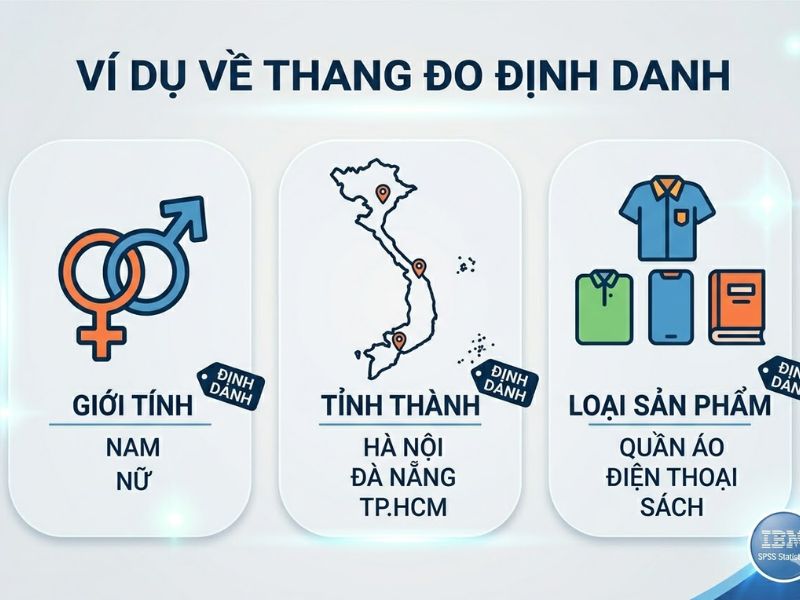 Thang đo định danh (Nominal Scale): Khái niệm, Phân loại và Hướng dẫn nhập liệu SPSS chi tiết
