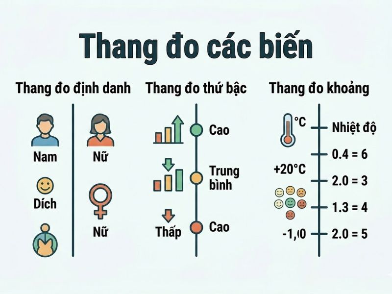 Thang Đo Likert Là Gì? Likert 5 Điểm Hay 7 Điểm Và Tránh Lỗi Câu Hỏi Dẫn Dắt
