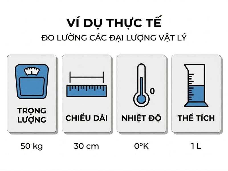 Thang đo tỷ lệ (Ratio scale) là gì? Khái niệm và mức độ thống kê
