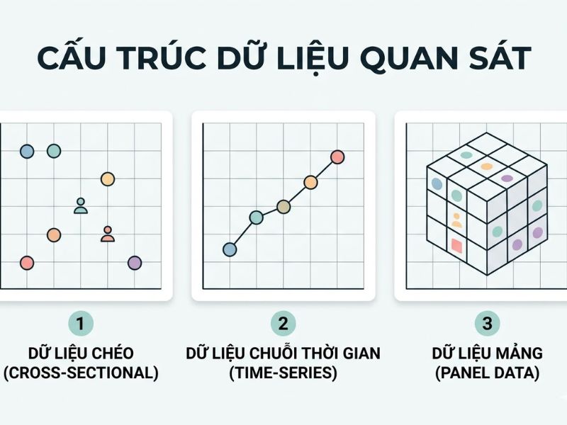 Tổng Quan Về Dữ Liệu Mảng (Panel Data) Và Cách Chạy Mô Hình Pooled OLS, FEM, REM Trên STATA
