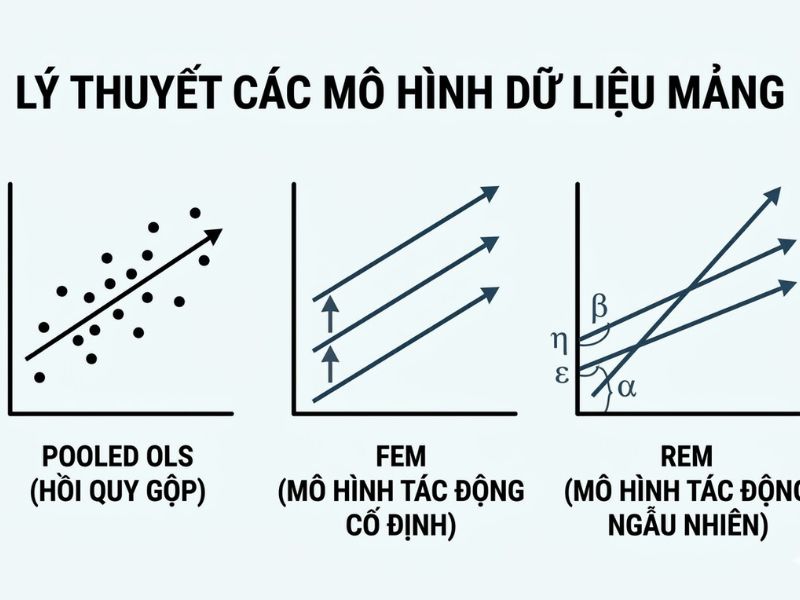 Tổng Quan Về Dữ Liệu Mảng (Panel Data) Và Cách Chạy Mô Hình Pooled OLS, FEM, REM Trên STATA
