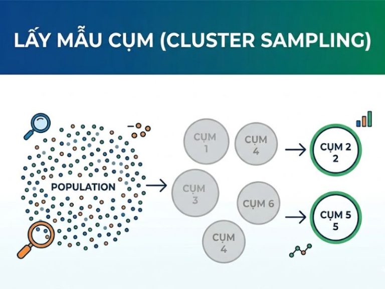 Lấy Mẫu Cụm (Cluster Sampling) Là Gì?