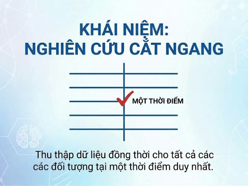 Nghiên cứu cắt ngang (Cross-sectional study) là gì? Tổng quan phương pháp và ứng dụng trong nghiên cứu khoa học
