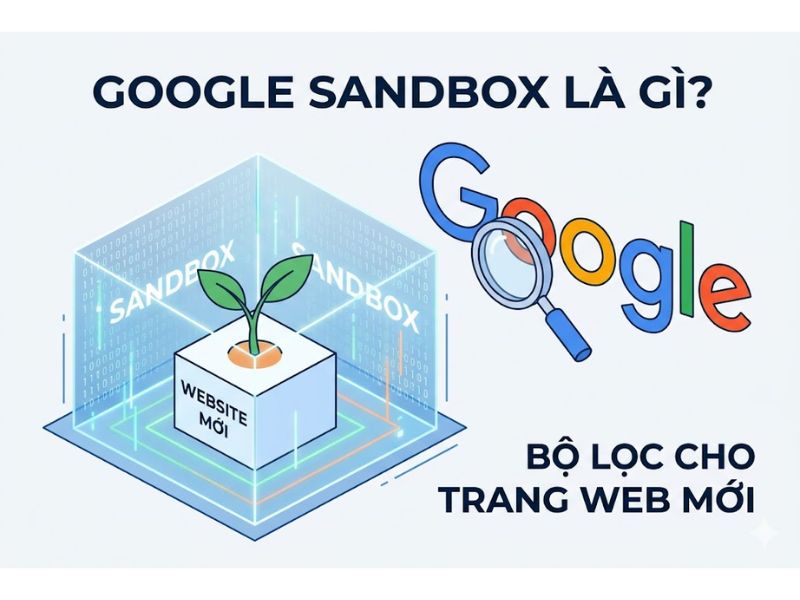 Google Sandbox Là Gì? Nguyên Nhân Và Cách Khắc Phục