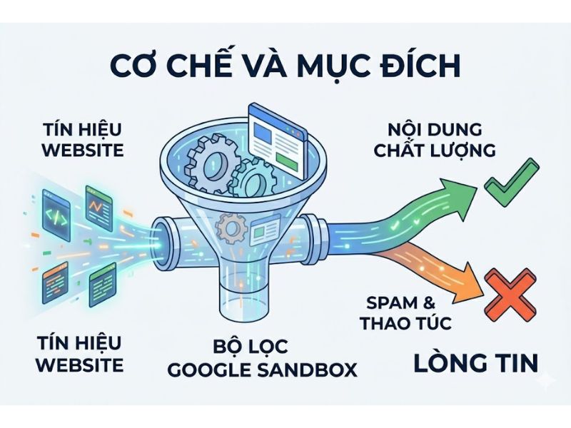 Google Sandbox Là Gì? Nguyên Nhân Và Cách Khắc Phục