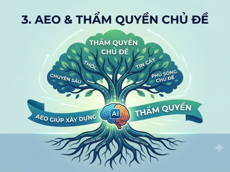 AEO là gì? Sự khác biệt AEO và SEO và cách tối ưu hiệu quả
