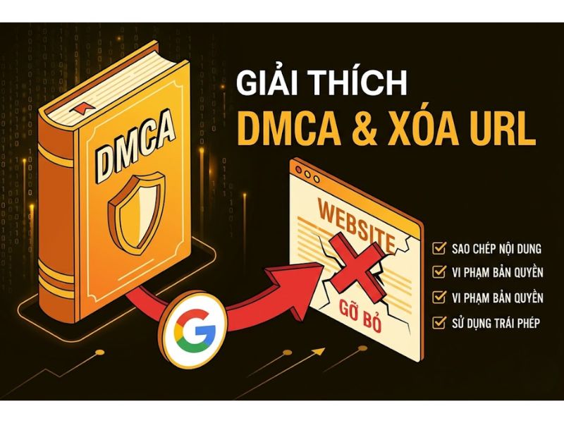 Cách Kháng DMCA Chấp Thuận Và Khôi Phục Thứ Hạng URL
