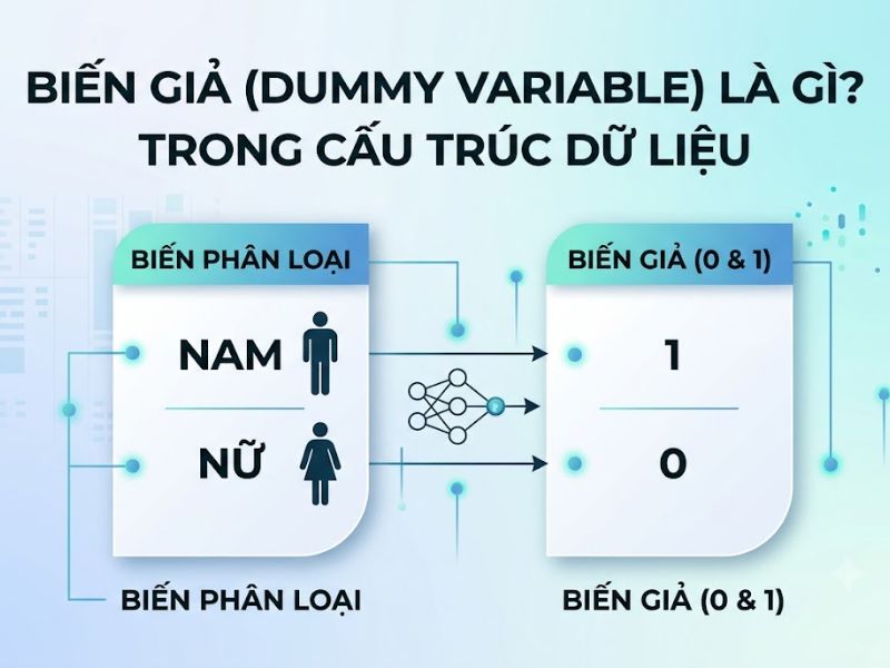 Cách Tạo Biến Giả Stata (Dummy Variable) Tiêu Chuẩn Trong Mô Hình Hồi Quy
