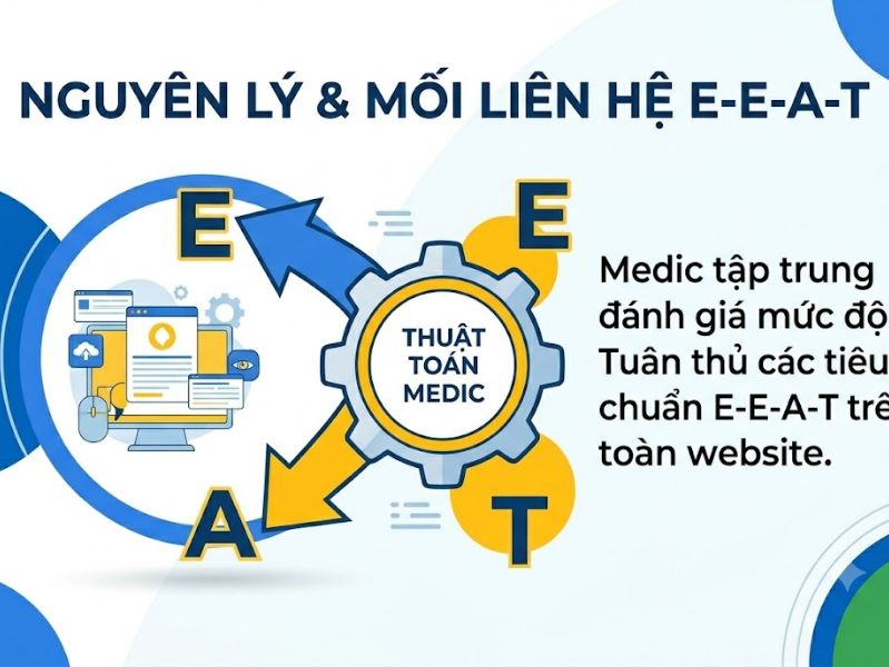 Google Medic là gì? Chiến lược tối ưu hóa E-E-A-T toàn diện
