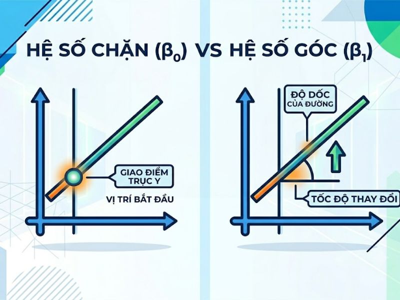 Hệ số chặn là gì? Phân loại và Cách tối ưu trong Hồi quy