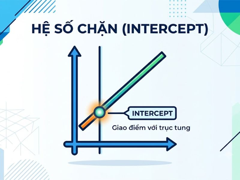 Hệ số chặn là gì? Phân loại và Cách tối ưu trong Hồi quy