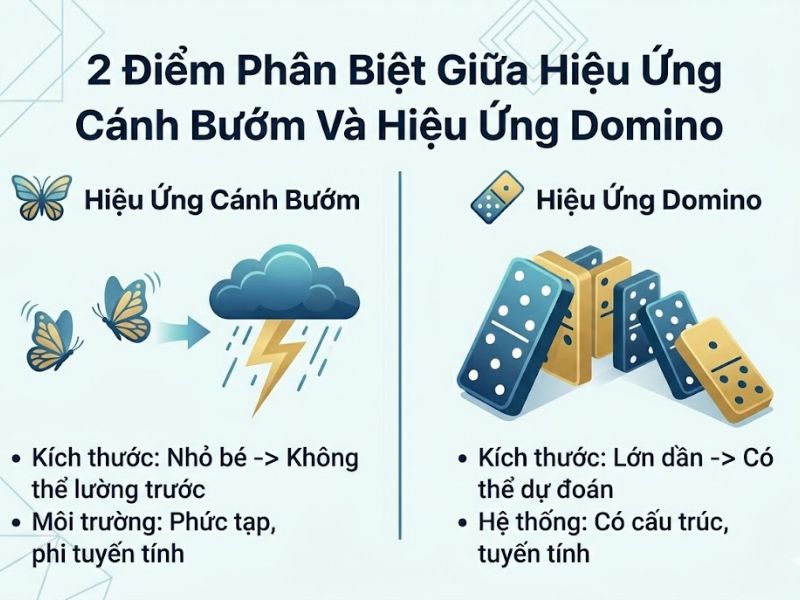 Hiệu Ứng Domino Là Gì? Bản Chất Và Ứng Dụng Thực Tế
