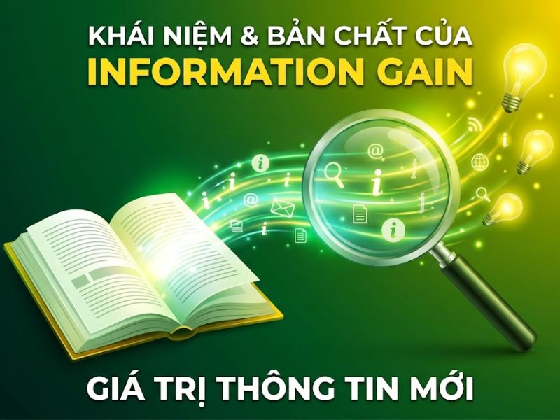 Thuật Toán Information Gain Trong SEO Và GEO
