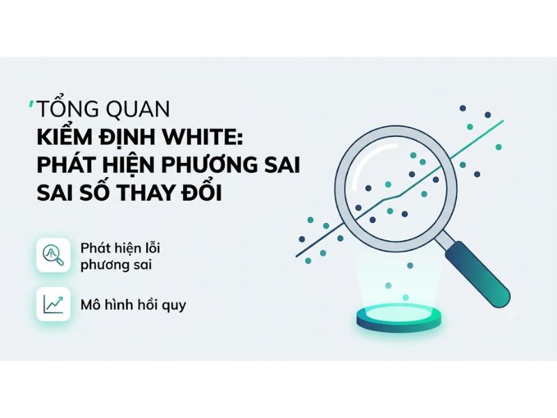 Hướng Dẫn Thực Hiện Kiểm Định White Trong SPSS: Phát Hiện Phương Sai Sai Số Thay Đổi