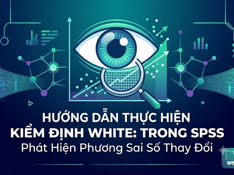 Hướng Dẫn Thực Hiện Kiểm Định White Trong SPSS: Phát Hiện Phương Sai Sai Số Thay Đổi