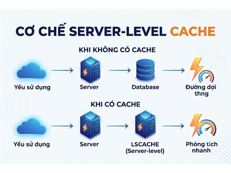 LiteSpeed Cache Là Gì? Cơ Chế Hoạt Động Và Hướng Dẫn Tối Ưu Website

