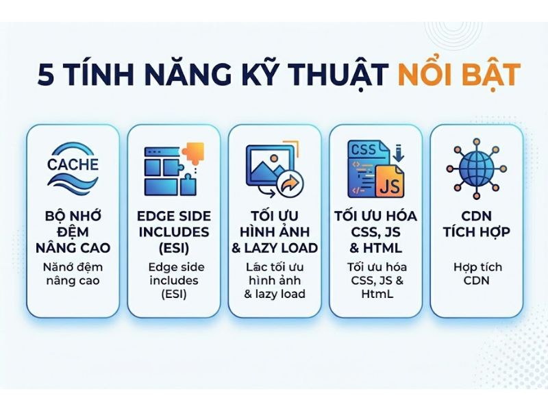 LiteSpeed Cache Là Gì? Cơ Chế Hoạt Động Và Hướng Dẫn Tối Ưu Website
