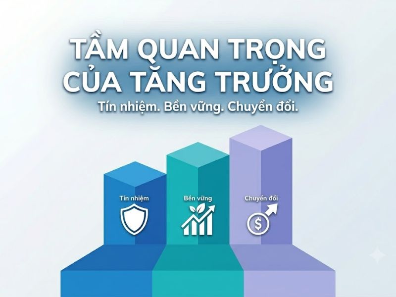 Organic Traffic Là Gì? Chiến Lược Tăng Trưởng Bền Vững Trong SEO Ngữ Nghĩa