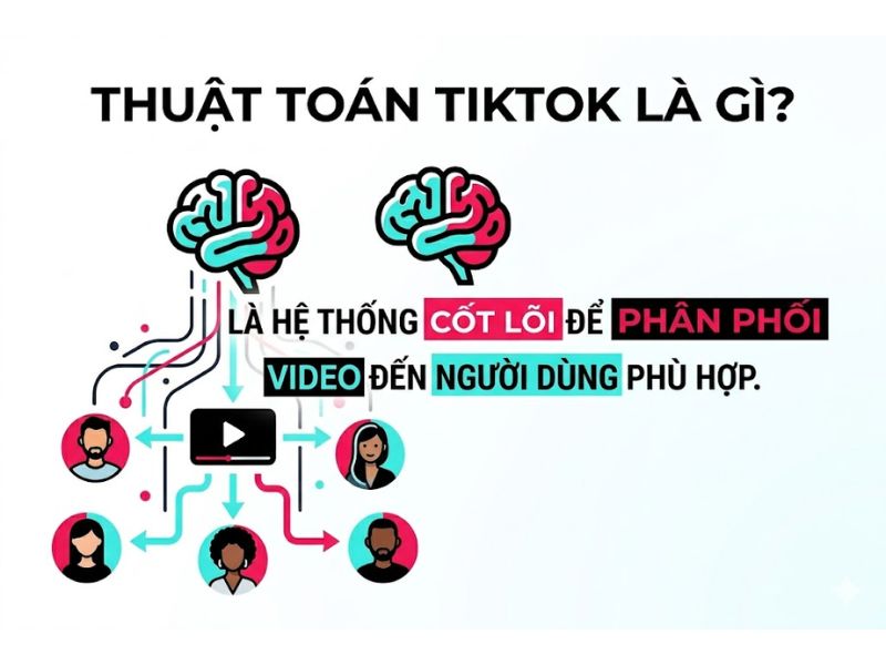 Thuật Toán TikTok Là Gì? Cách Lên Xu Hướng 2026
