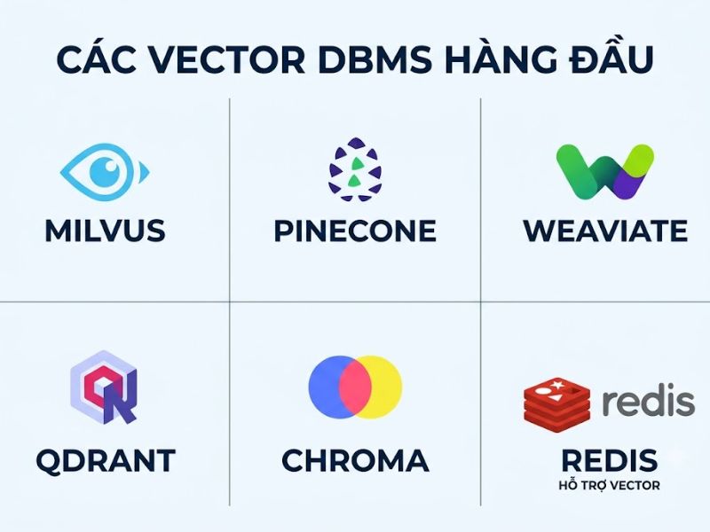 Vector Database là gì? Lưu trữ dữ liệu thế hệ mới Generative AI và LLMs
