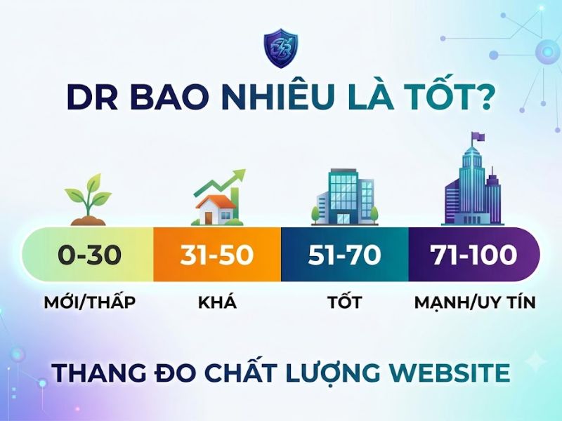 Chỉ số DR là gì? Thuật Toán Tối Ưu Hóa Domain Rating
