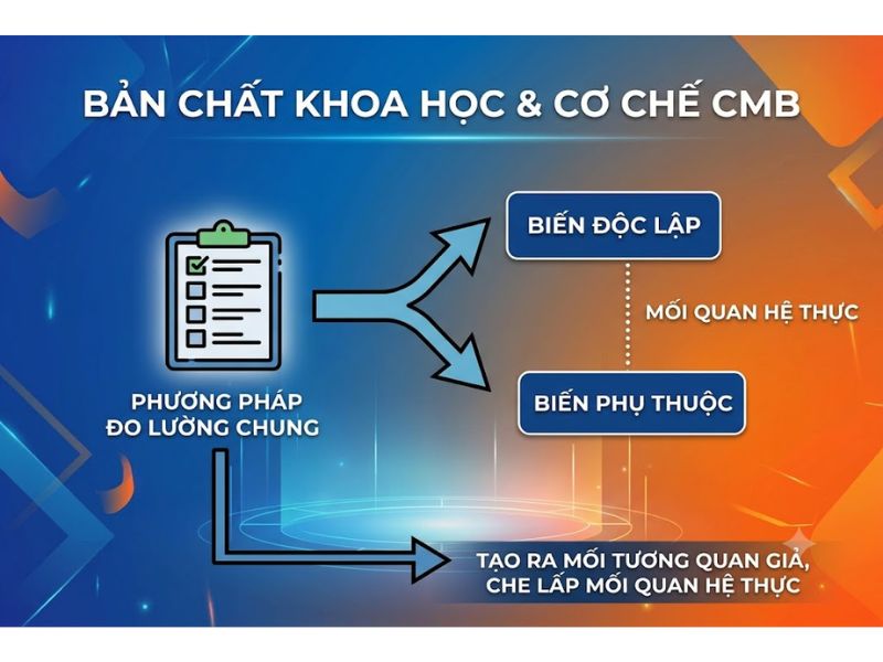 Common method bias là gì? Nguyên nhân, Tác động và Biện pháp kiểm soát
