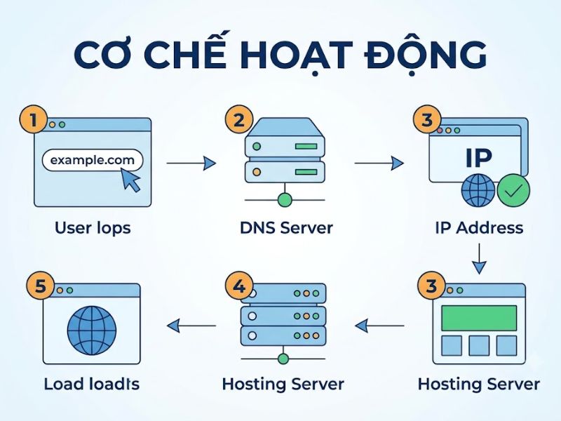 Domain là gì? Phân loại & 5 Tiêu Chí Lựa Chọn
