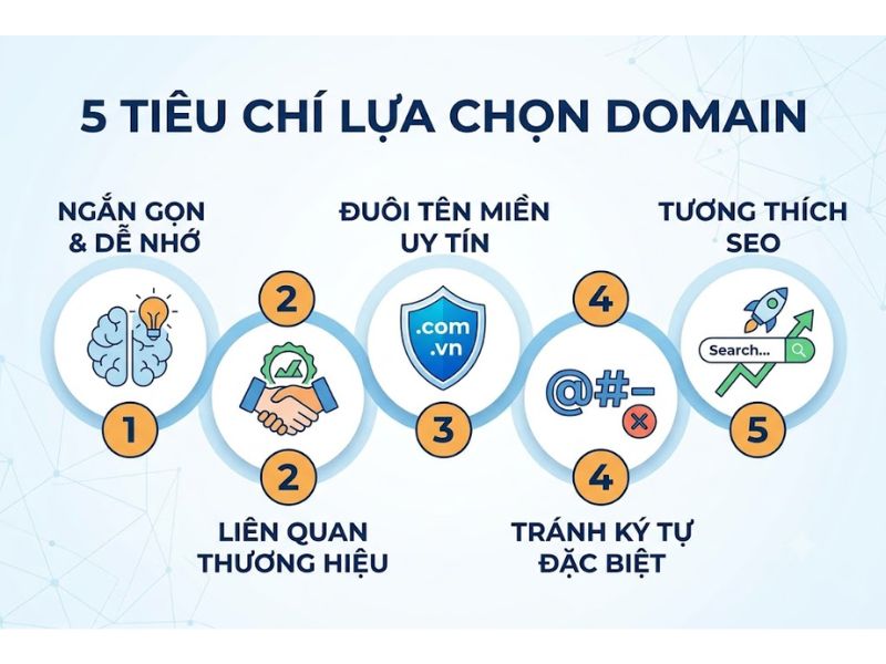 Domain là gì? Phân loại & 5 Tiêu Chí Lựa Chọn
