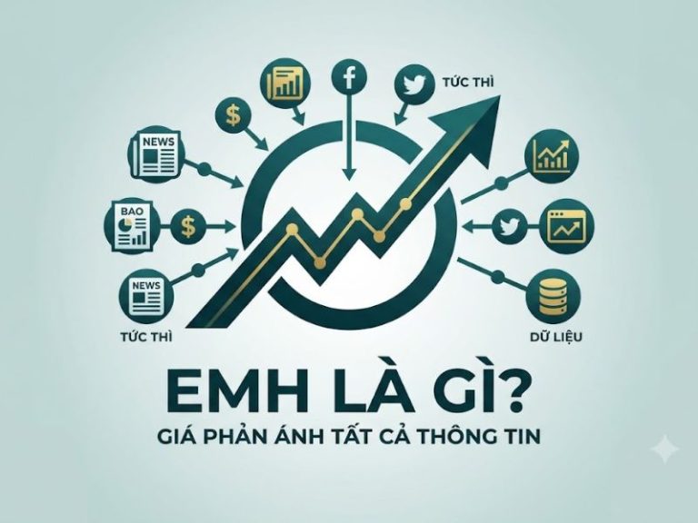 Giả thuyết Thị trường Hiệu quả (Efficient Market Hypothesis - EMH)