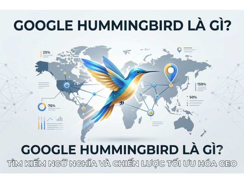 Google Hummingbird Là Gì? Tìm Kiếm Ngữ Nghĩa Và Chiến Lược Tối Ưu Hóa GEO